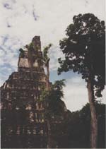 Tikal